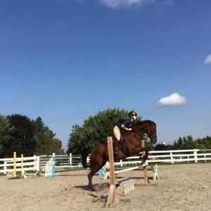 Meet your Posher, Rebecca